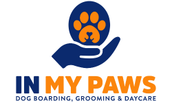 In My Paws
